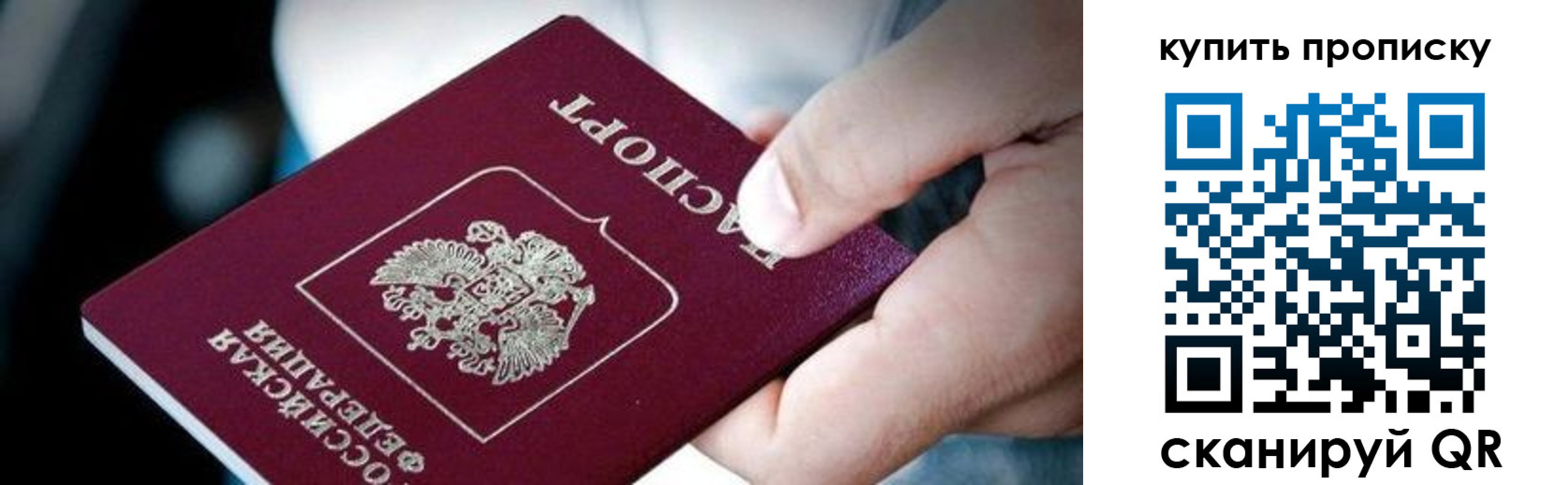 прописка поиск в Тынде